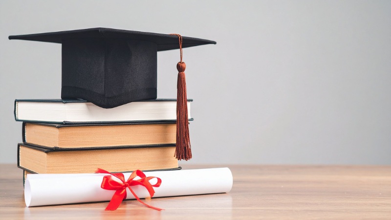 Une illustration du Diplôme de Pierre David avant de créer la Dépolarisation®
